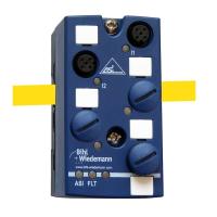 Аналоговый модуль I/O Bihl Wiedemann BWU3102 Аналоговый модуль I/O Bihl Wiedemann BWU3102